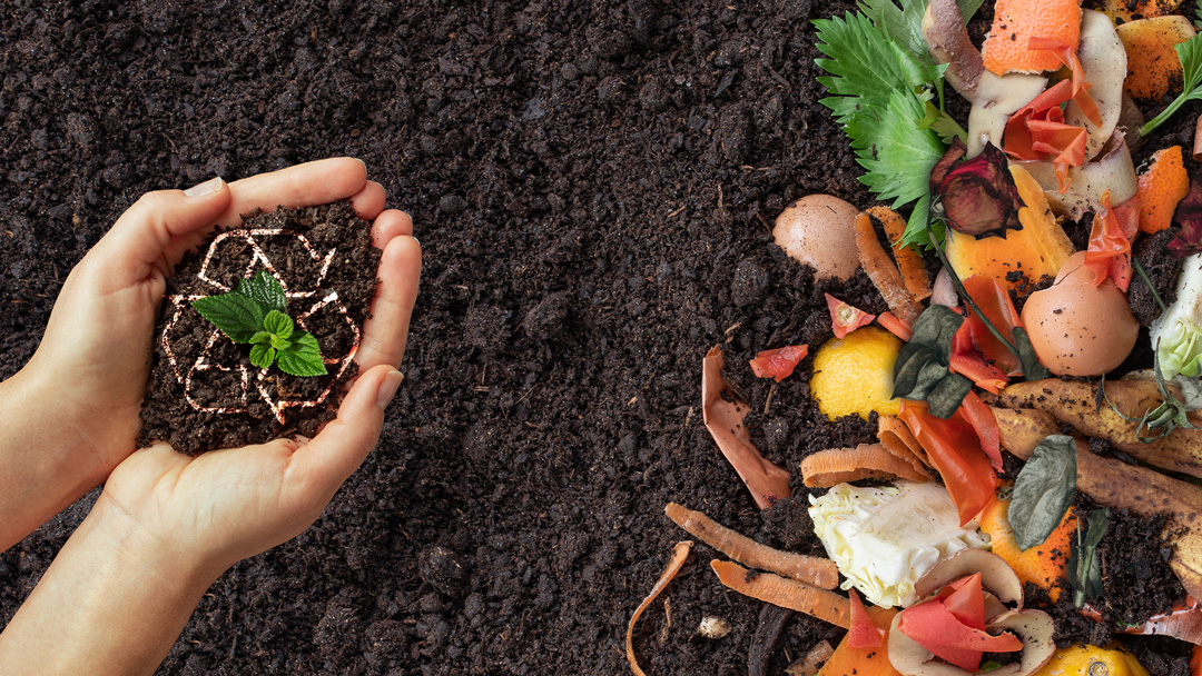Want to save the planet? Get composting!